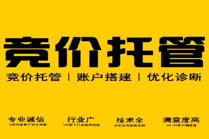 竞价广告投放的秘诀：某企业与竞价推广公司的合作成果